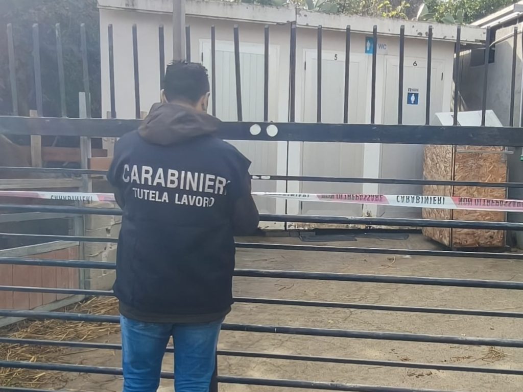 Crotone, sfruttamento lavorativo: titolare di un maneggio agli arresti domiciliari